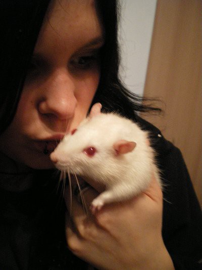 Lupčka!