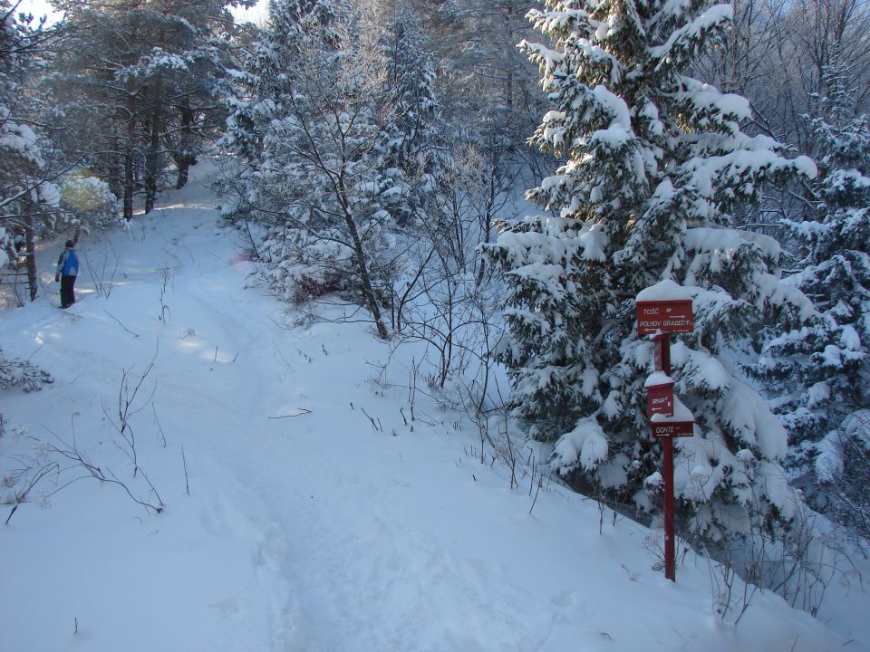Grmada v snegu - foto povečava