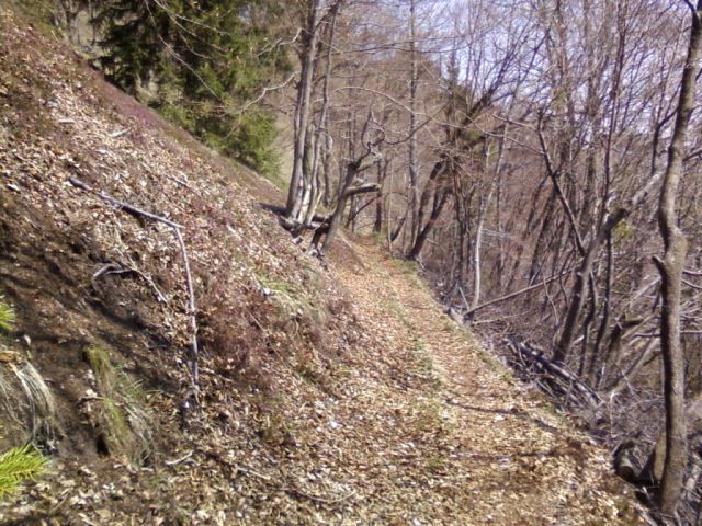 Iz Topola na osolnik - foto