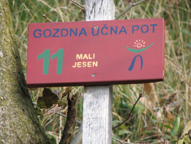 Neznano, 20.10.2007 - foto povečava
