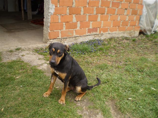 Zara - foto