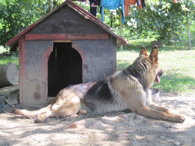 Brina (Luna) - foto povečava