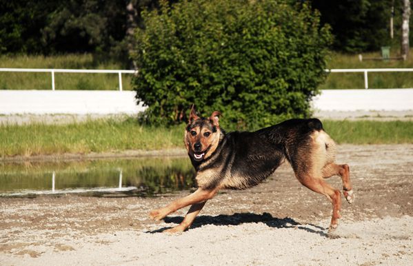 Tina - foto povečava