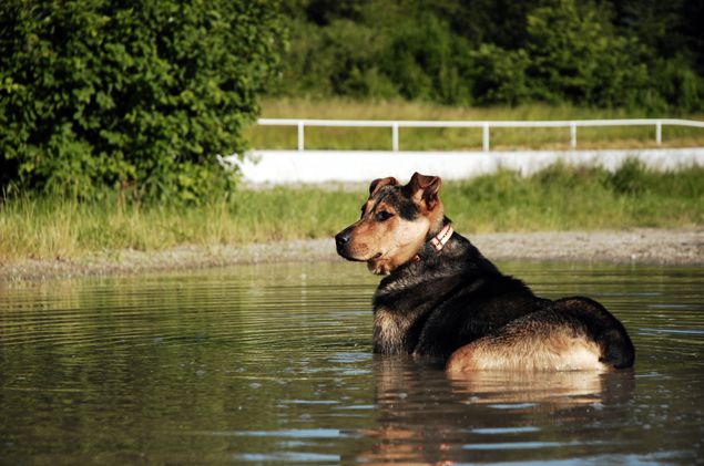 Tina - foto povečava