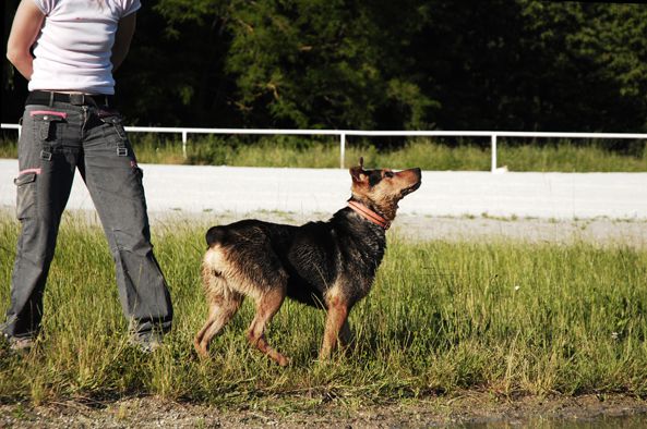 Tina - foto povečava