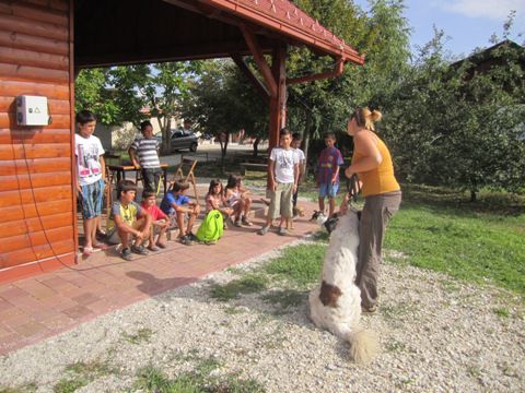 Predavanja - foto povečava