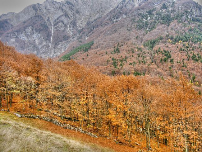 Pejzaži - foto povečava