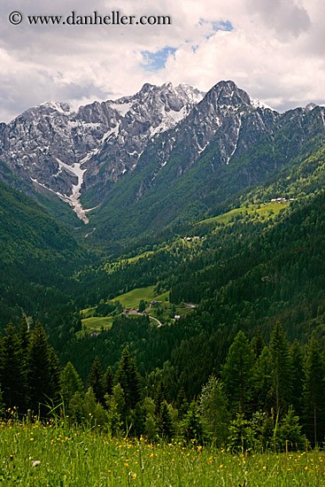 valley Logarska dolina