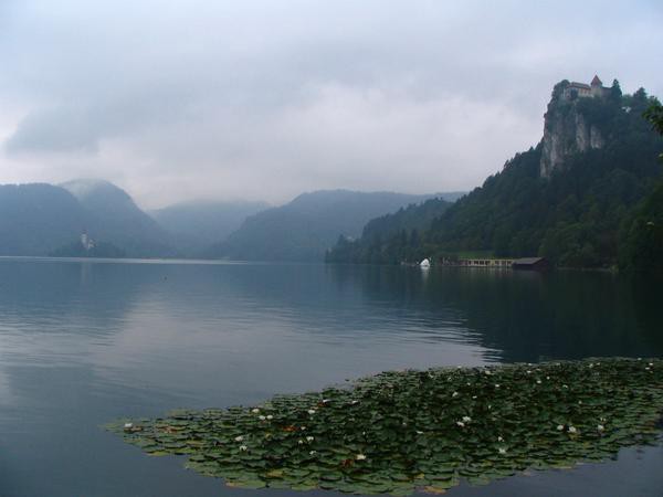 Bled lake with castle