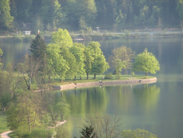 Detail of bohiny lake