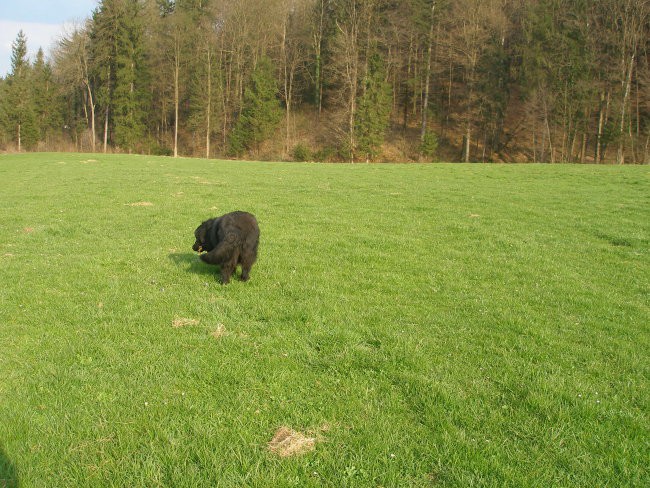 Biba 9 mesecev - foto povečava