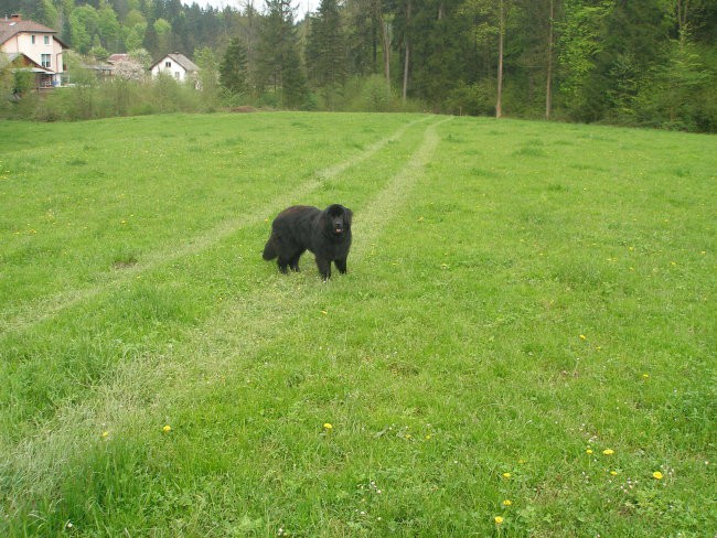 Biba 10 mesecev - foto povečava