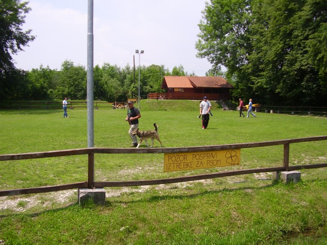Pasja šola z Ronom - foto