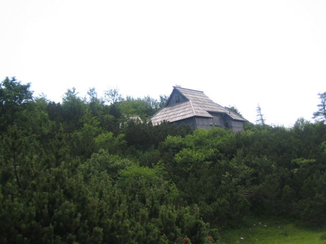 Velika planina - foto