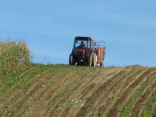 Siliranje - foto povečava