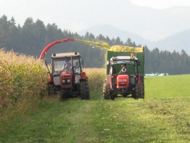Siliranje - foto