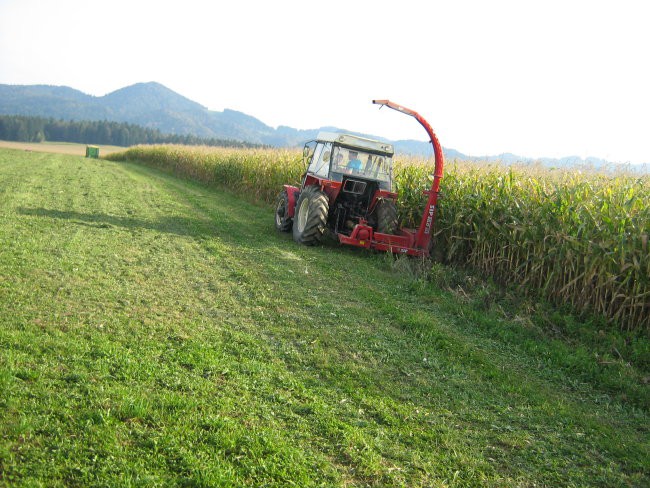 Siliranje - foto povečava