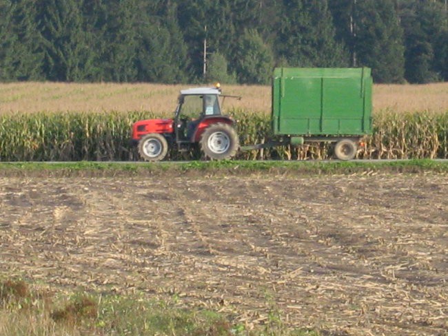 Siliranje - foto povečava