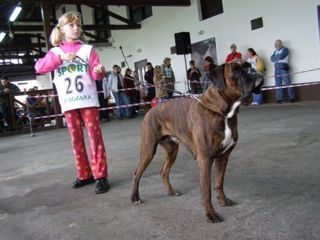 Vse - foto povečava