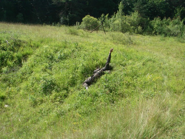 Vojaški tabor 2007- 2vod - foto povečava