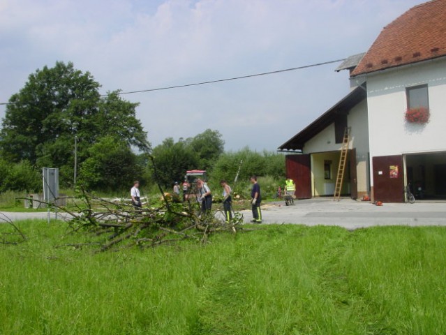 Pospravljanje lipe - foto