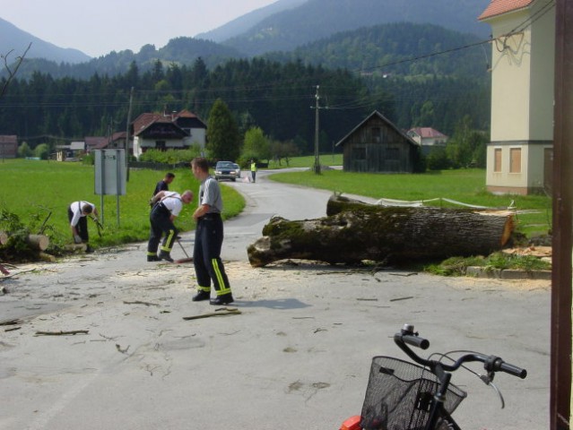 Pospravljanje lipe - foto