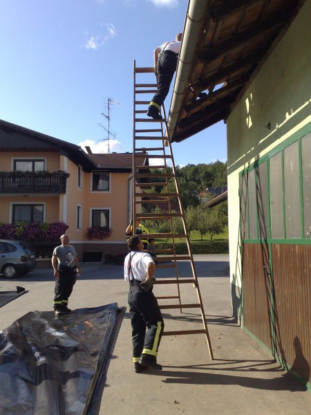 Neurje - Ptuj (sanacija) - foto povečava