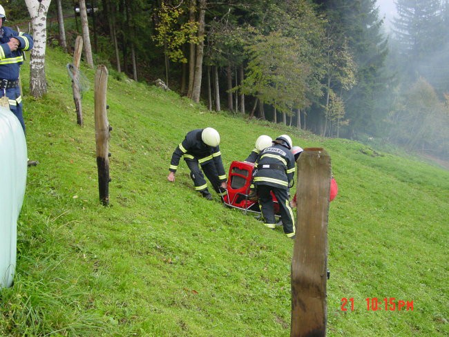 Vaja jaršnik - foto povečava