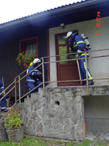 Vaja jaršnik - foto
