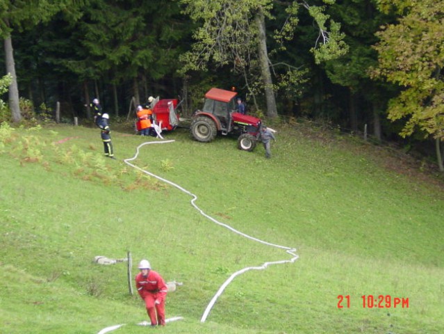 Vaja jaršnik - foto