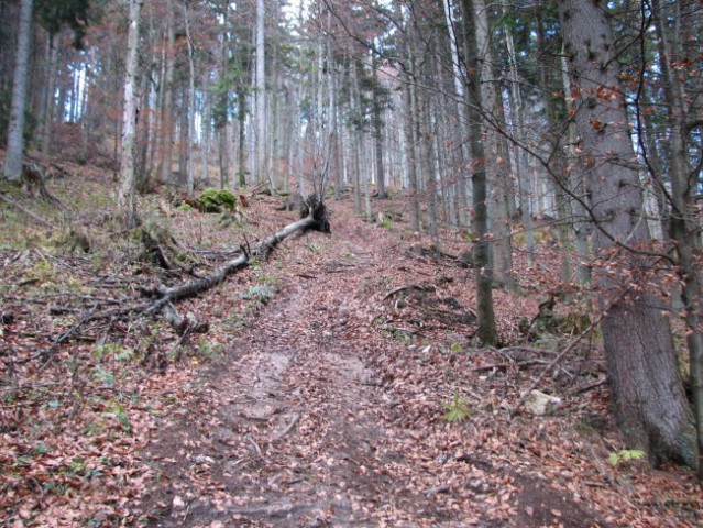 Vodiška  - foto