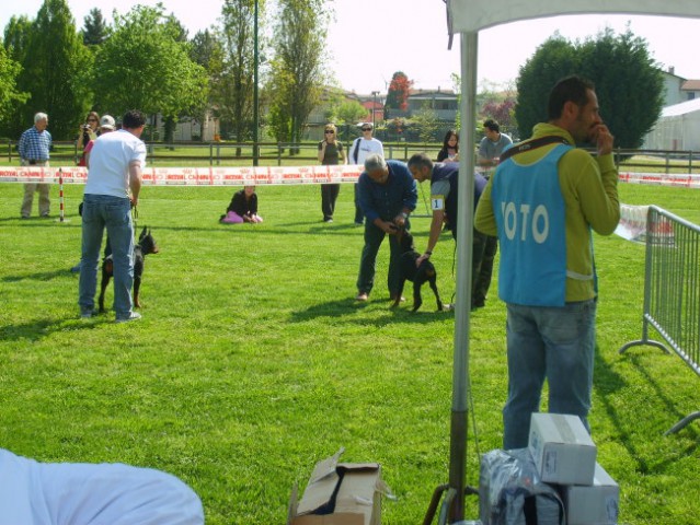 Trofeo triveneto - foto