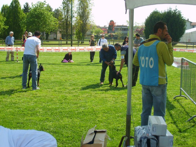 Trofeo triveneto - foto povečava