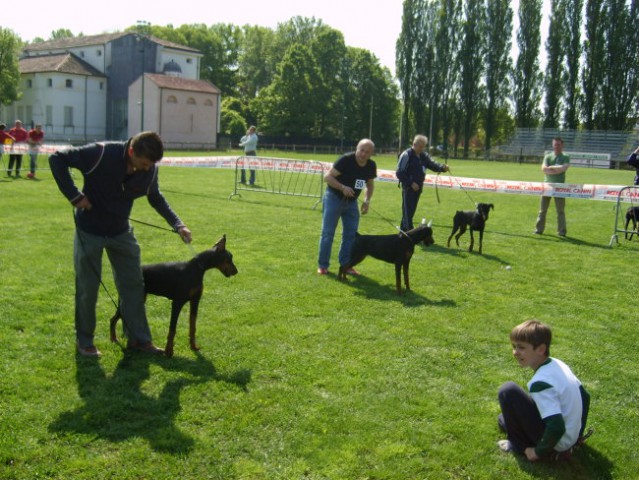 Trofeo triveneto - foto