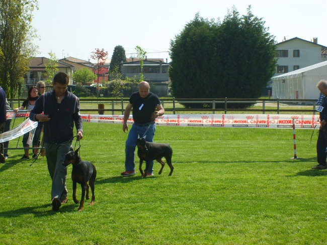 Trofeo triveneto - foto povečava