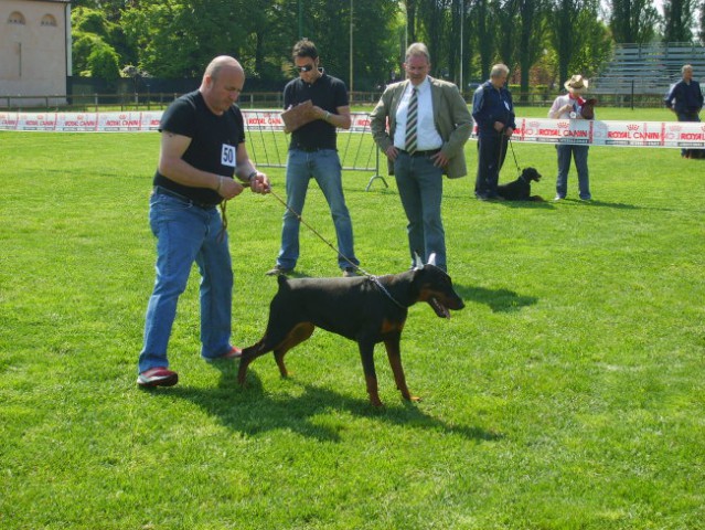 Trofeo triveneto - foto