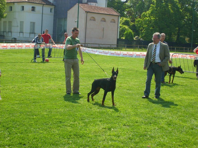 Trofeo triveneto - foto povečava