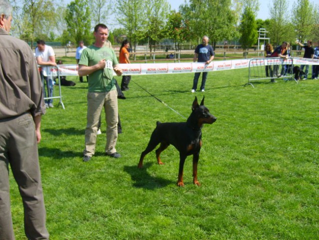 Trofeo triveneto - foto