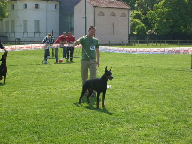 Trofeo triveneto - foto