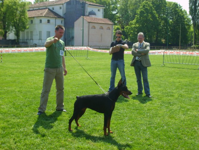 Trofeo triveneto - foto