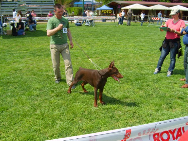 Trofeo triveneto - foto