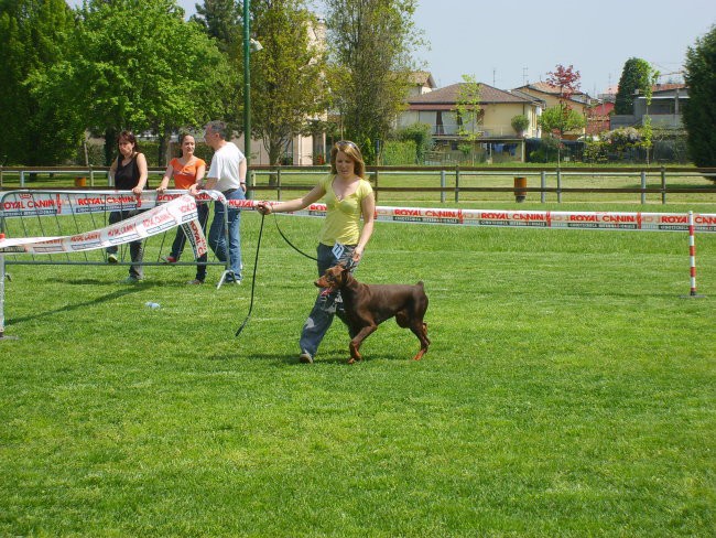 Trofeo triveneto - foto povečava