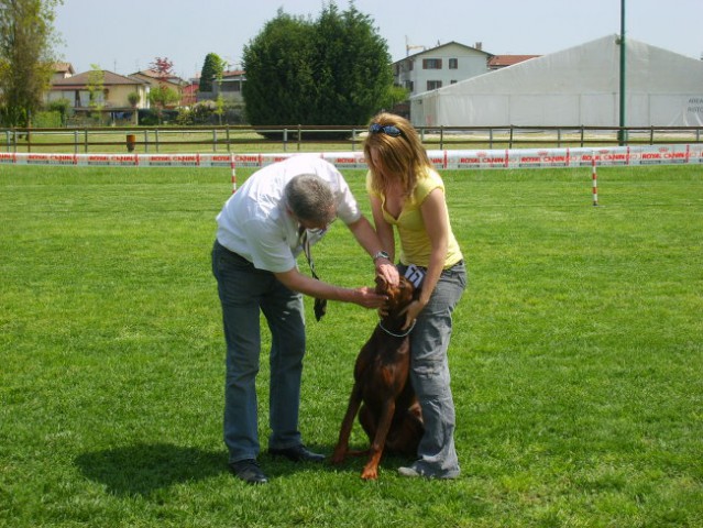 Trofeo triveneto - foto